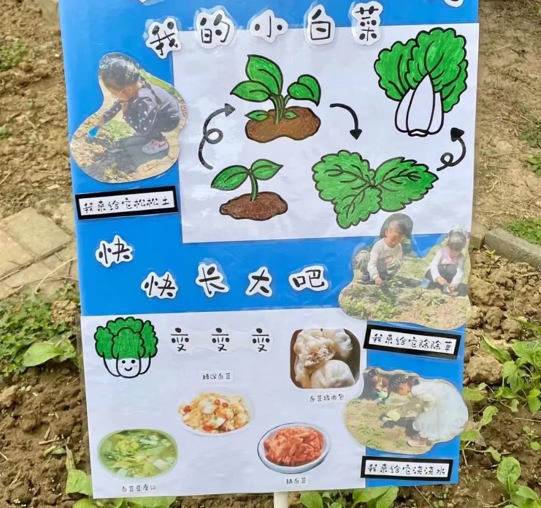 我们的种植日记